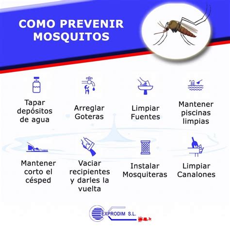 Plaga de mosquitos | Todo lo que debes saber para evitar su aparición