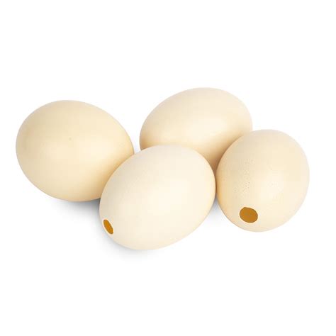 Plain Polished Ostrich Egg: Ngala Trading Co.