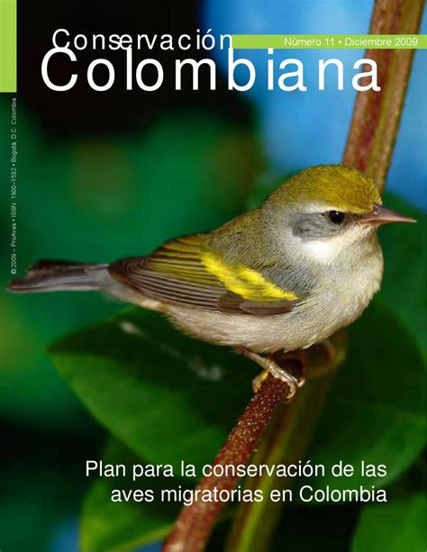 Plan Conservación Aves migratorias Colombia by Andres Paez ...