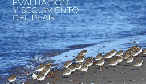 Plan Nacional para la preservación de las aves costeras | La Trocha ...