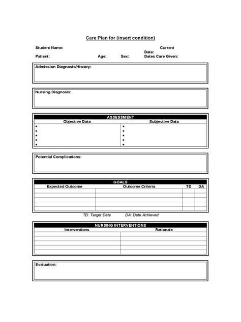Plan of Care Template   2 Free Templates in PDF, Word, Excel Download