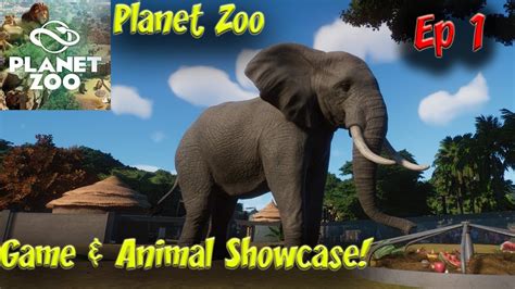 Planet Zoo Animal Showcase Career Mode Ep1 3K HD 60FPS   YouTube