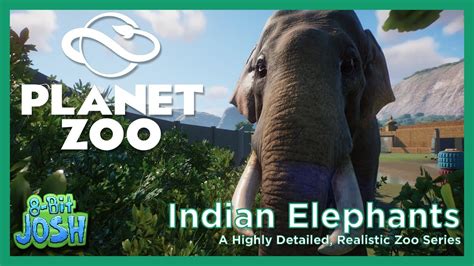 Planet Zoo   Highly Detailed Realistic Zoo |08|   YouTube