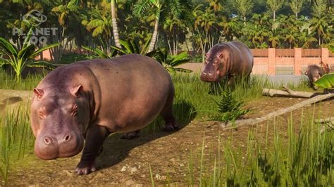 PLANET ZOO REVIEW   Misc   World of Warships official forum