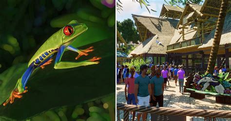 Planet Zoo: South America Pack: 5 Things We Loved  And 5 We Wish Had ...