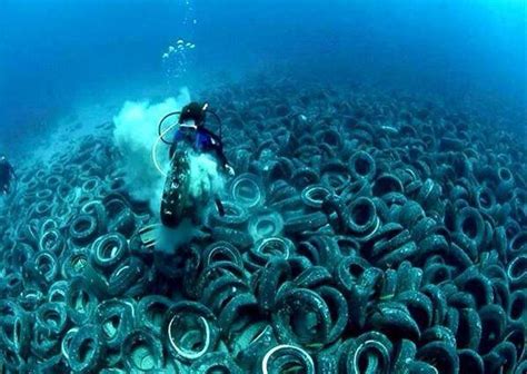 Planeta Ambiental : Contaminación marina