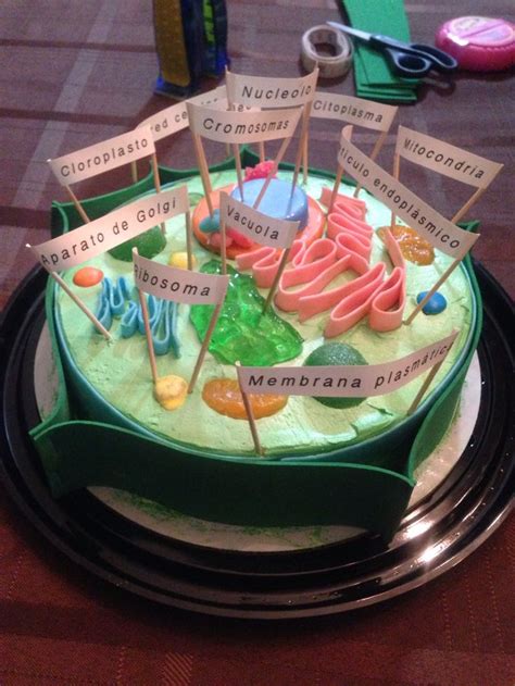 Plant Cell/ Célula Vegetal Homemade plant cell: this is a ...