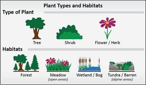 plant habitat   Yahoo Image Search Results | Culture ...