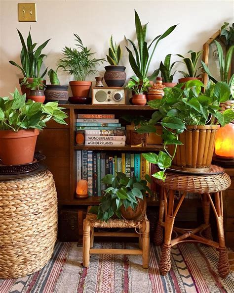 Plant, plant vibes con imágenes | Decoración de casa con plantas ...