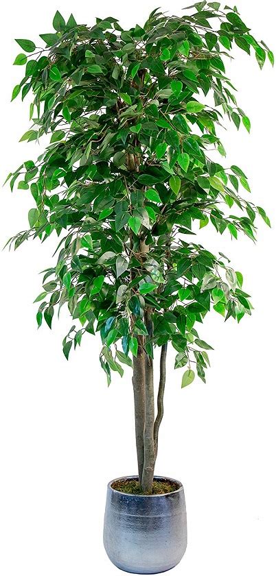 Planta Ficus Artificial Precio Barato Online | El Mejor Ahorro