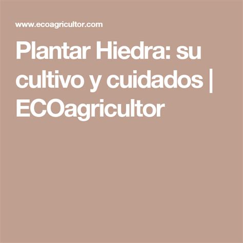 Plantar Hiedra: su cultivo ecológico y cuidados | Hiedra ...