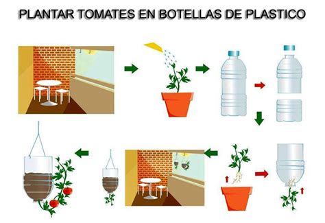 Plantar tomates en botellas de plástico | Construccion y Manualidades ...