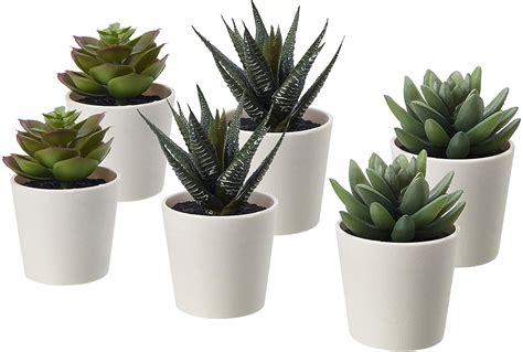 Plantas artificiales IKEA   Afloricultura