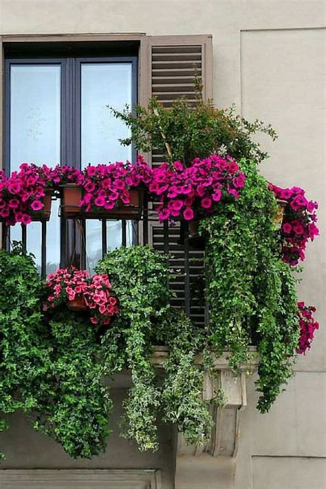 Plantas Colgantes Para Balcon : Ideas De Decoracion Con ...