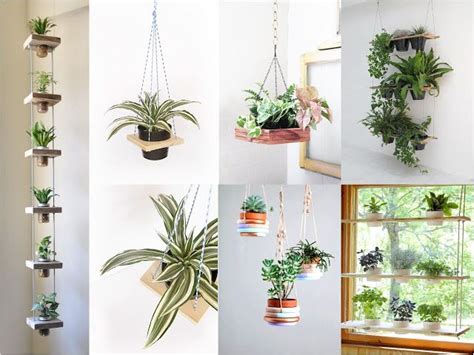 PLANTAS COLGANTES PARA INTERIORES by artesydisenos ...