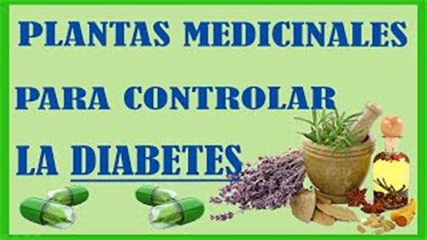 Plantas Curativas Para La Diabetes – Mis Jardines