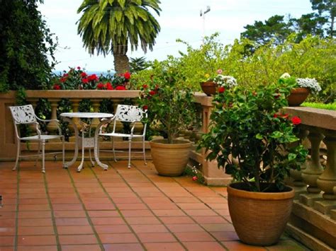 Plantas de exterior para terrazas y balcones   38 ideas