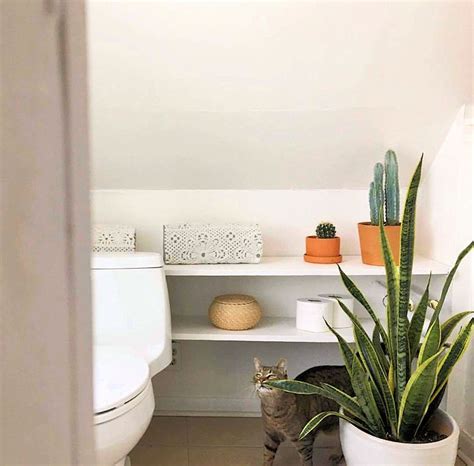 Plantas en el baño   Ideas para decorar baños con plantas   Depto9