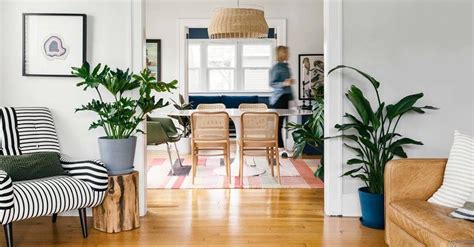 Plantas Feng Shui y su importancia en el diseño interior   | Plant ...