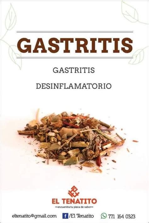 Plantas medicinales   Gastritis | Gastritis alimentos, Gastritis ...