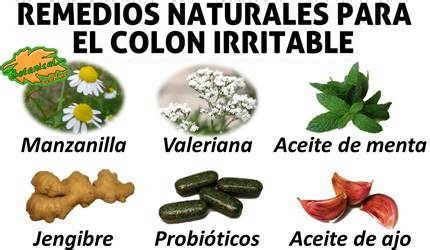 Plantas medicinales para el colon irritable | Limpieza natural de colon ...