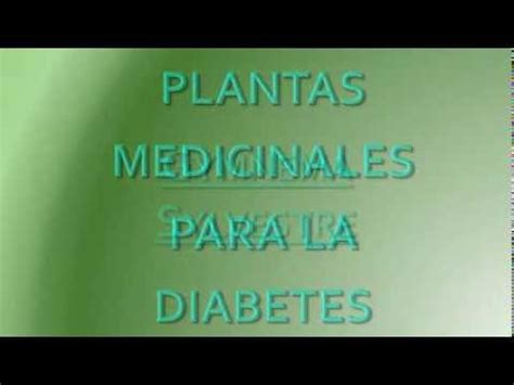 Plantas Medicinales para la Diabetes   YouTube