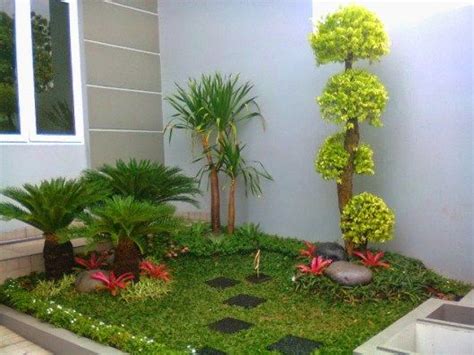 Plantas minimalistas para exteriores | Jardines, Plantas ...