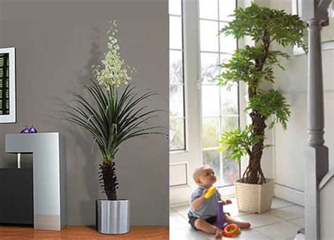 Plantas naturales para decorar   Decoración de interiores ...