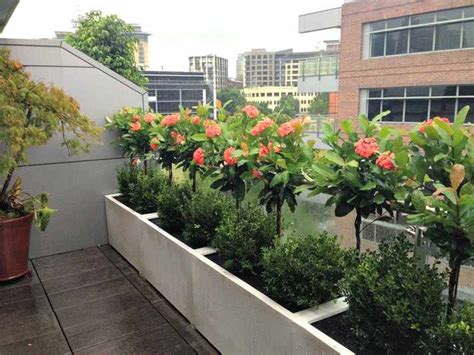 Plantas para BALCONES y TERRAZAS exteriores