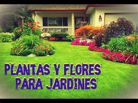 Plantas para Jardines Pequeños   Flores Hermosas   YouTube