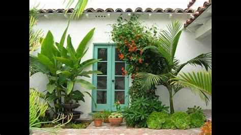 Plantas para jardines tropicales   YouTube