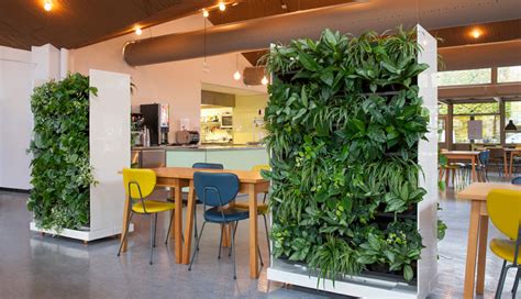 Plantas para oficinas: Muros vegetales.