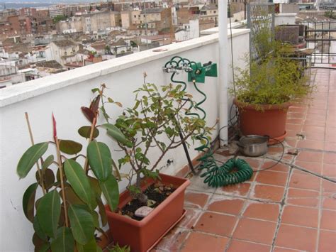 Plantas para terraza muy soleada y sistema riego