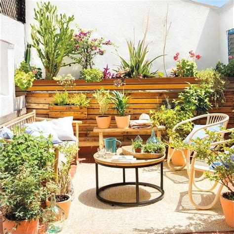 Plantas para terrazas: claves para escoger las más adecuadas