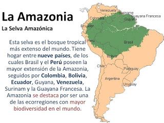 PLANTAS Y ACUARIOS AMAZONAS: UBICACION DE LA CUENCA DEL ...