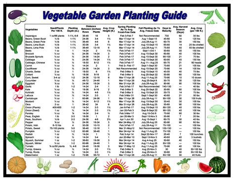 Planting Calendars   When to Plant