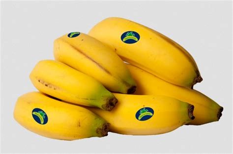 Plátano de Canarias certifica su huella de carbono ...