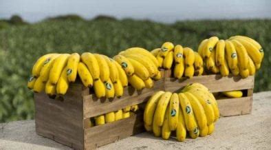Plátano de Canarias, un pequeño placer para nuestro día a ...