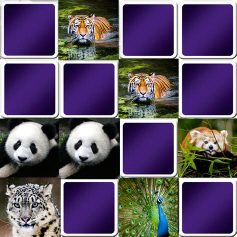 Play matching game for kids   Asian animals   Online & Free | Memozor