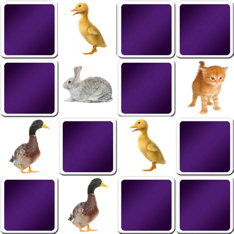 Play matching game for toddlers   animals   Online & Free | Memozor