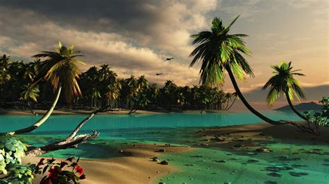 Playa 3D con palmeras :: Imágenes y fotos