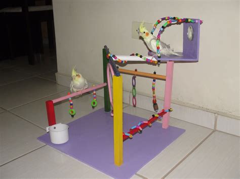playground para aves  calopsitas, periquitos, papagaio ...