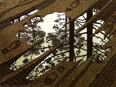 poça de água por Maurits Cornelis Escher  1898 1972 ...