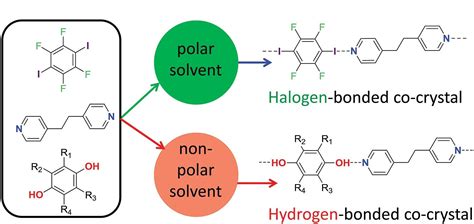 Polar solvents promote halogen bonds over hydrogen ones ...