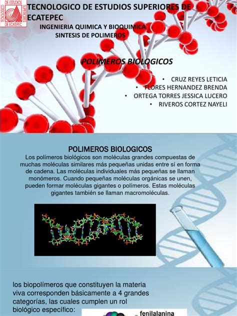 polimeros biologicos.pptx | Rna | Adn