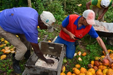 Política agrícola para fortalecer a agricultura familiar de Aratuípe é ...