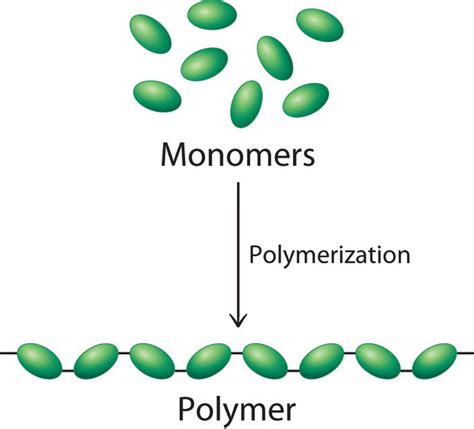 Polymeric Solids