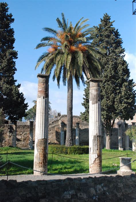 Pompeii | Pompeii and herculaneum, Pompeii, Places to go