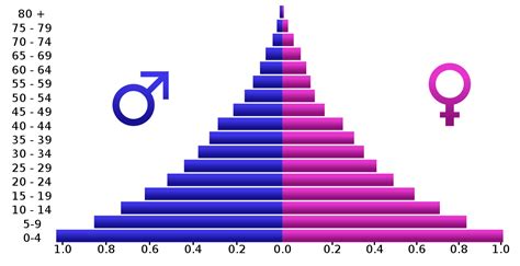 Population pyramid   Wikipedia