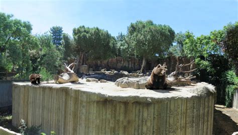 Por qué el problema del zoo de Madrid no es el hormigón  y los planes ...